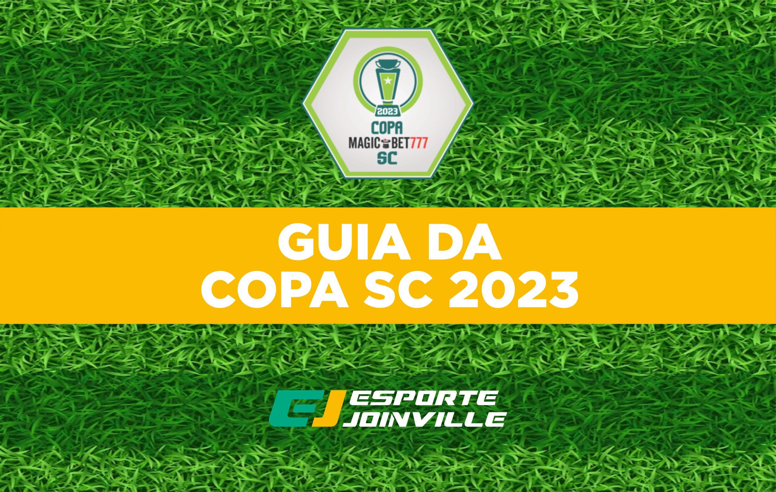 Guia do Infosul: tudo que você precisa saber sobre a Copa Santa Catarina -  Portal Infosul